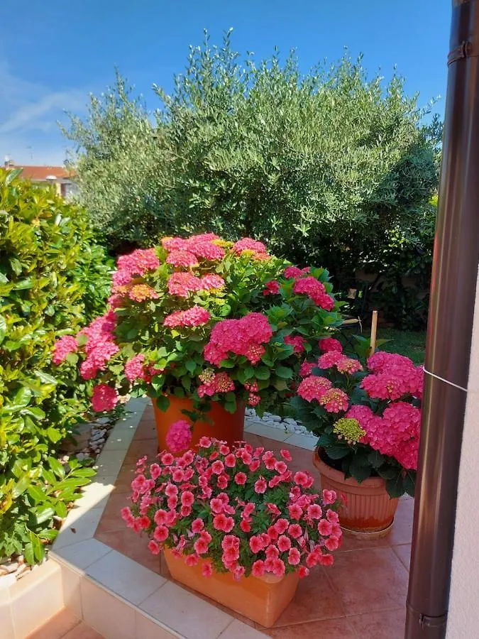 Apartman Appartamento Alida Umag Horvátország